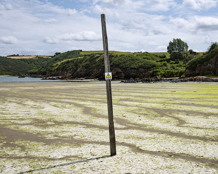 France, Bretagne, Côtes d’Armor, Hillion, Juillet 2023, Algues vertes en baie de Saint-Brieuc, Plage de La Granville, Large dépôt d’algues en putréfaction,