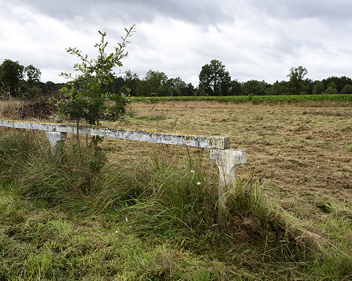 France, Bretagne, Côtes d’Armor, Landébia, Août 2023, Terrains de foot reconvertis, terrain actuellement en friche, Projet de lieu partagé avec jeux pour enfants, jardins potager…