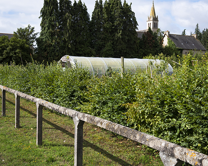 France, Bretagne, Côtes d’Armor, Languédias, Août 2023, Terrain de foot reconvertis en lieu partagé, Jeux pour enfants, aire de pique-nique, jardin-potager, serre-école, verger…
