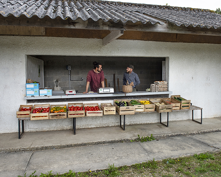 France, Bretagne, Côtes d’Armor, Languédias, Août 2023, Terrain de foot reconvertis en lieu partagé, Jeux pour enfants, aire de pique-nique, jardin-potager, serre-école, verger…, Distribution des paniers AMAP